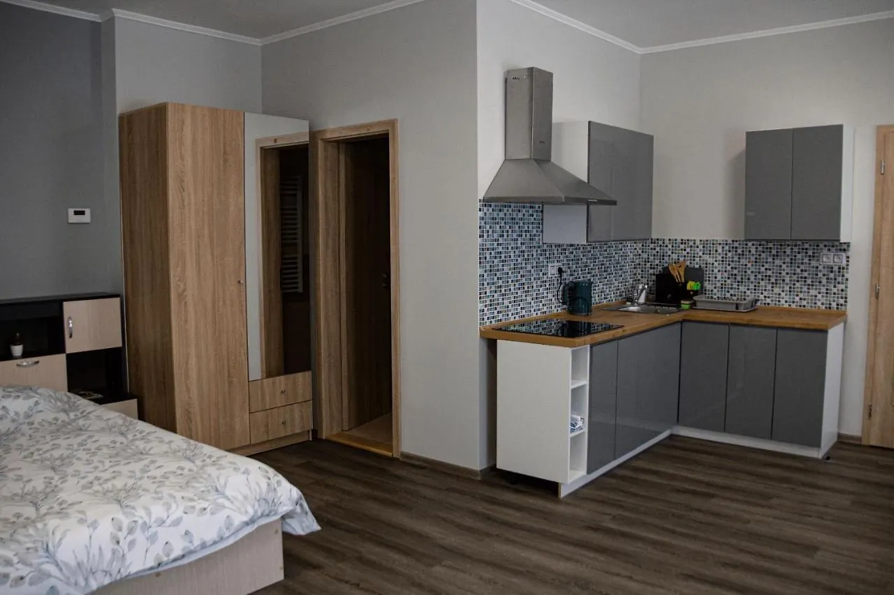 Apartmán Villa Pirken Hammer Pirkenhammer