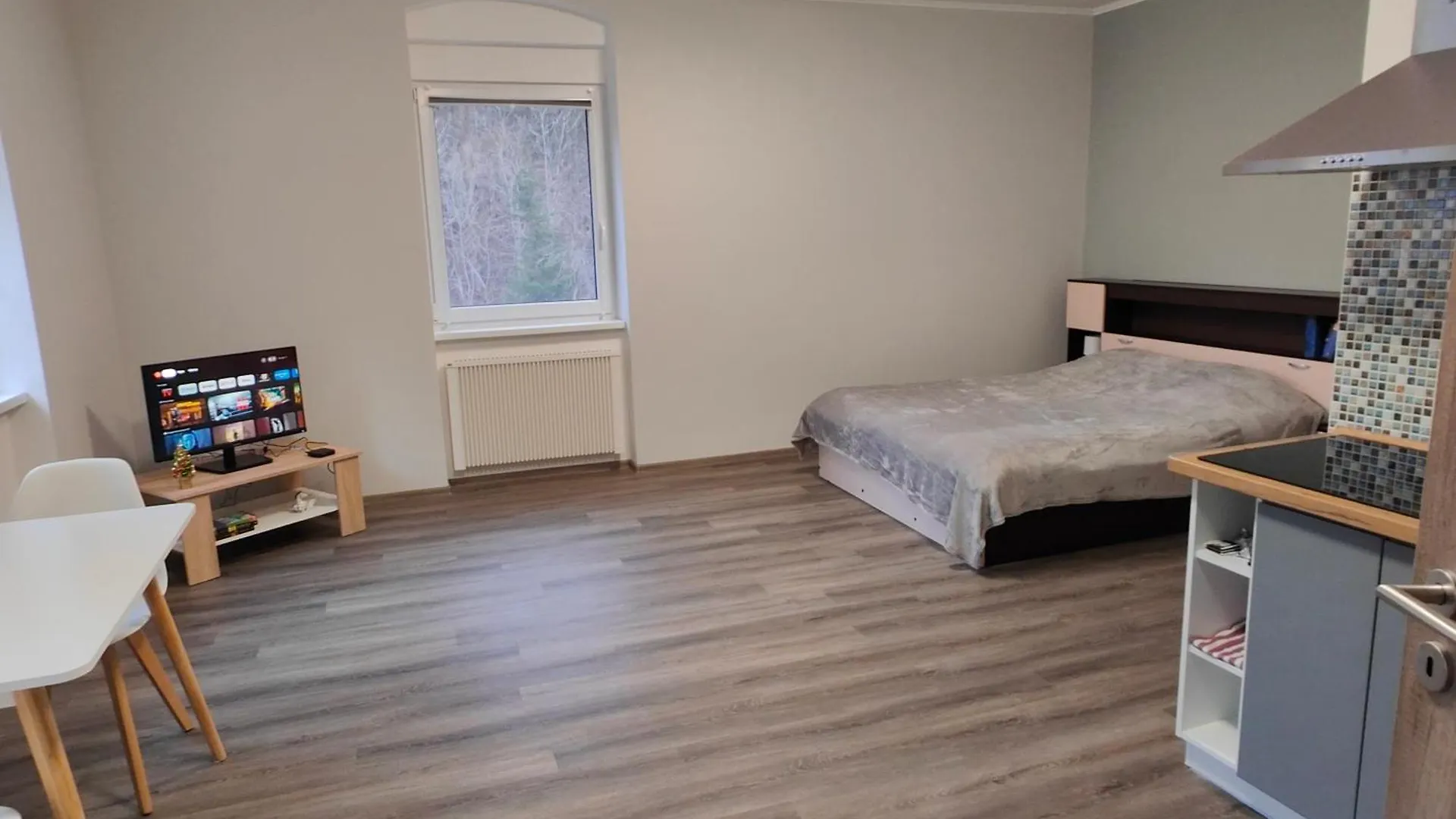 Apartmán Villa Pirken Hammer Pirkenhammer Česká republika